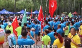 河南电视台都市报道