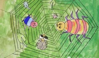 蜘蛛开店续编故事