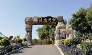 格格广场舞荷塘月色