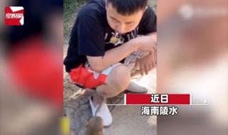 男子被小男孩拔腿毛