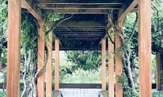 天津师范大学新空气