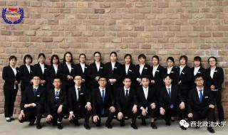 惊鸿一场情深一往