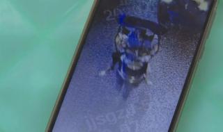 外卖小哥劝回肇事者