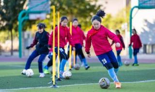 2023年11月28日足球比赛